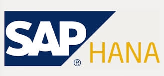 Dostawa platformy dla SAP HANA